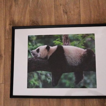 A 4 Min Du Zoo De Beauval La Maison A Partager Ch2 1Er Etage Сент-Еньян Екстер'єр фото