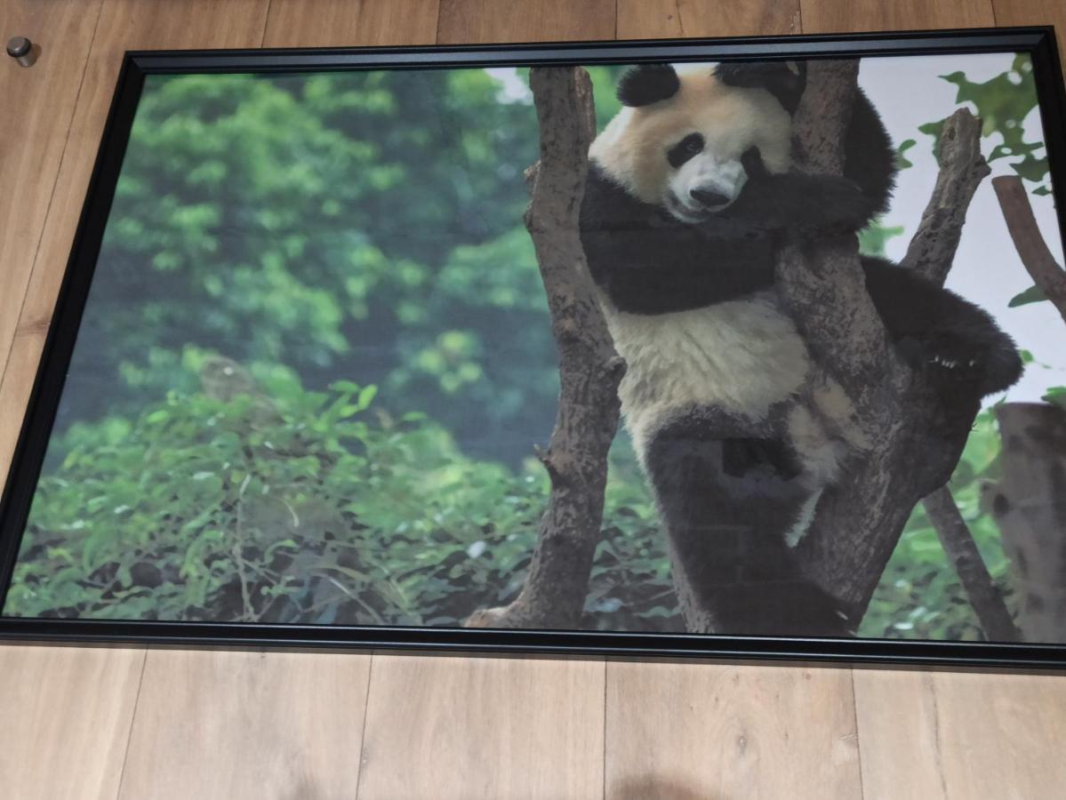 A 4 Min Du Zoo De Beauval La Maison A Partager Ch2 1Er Etage Сент-Еньян Екстер'єр фото